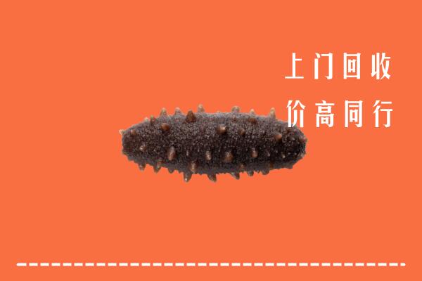 高价求购：广安武胜县回收海参